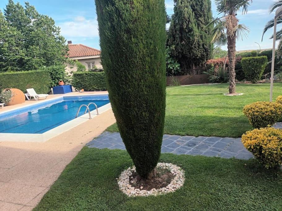 Madrid City Modern Apartment In Villa, Free Wifi 阿罗约莫利诺斯 外观 照片