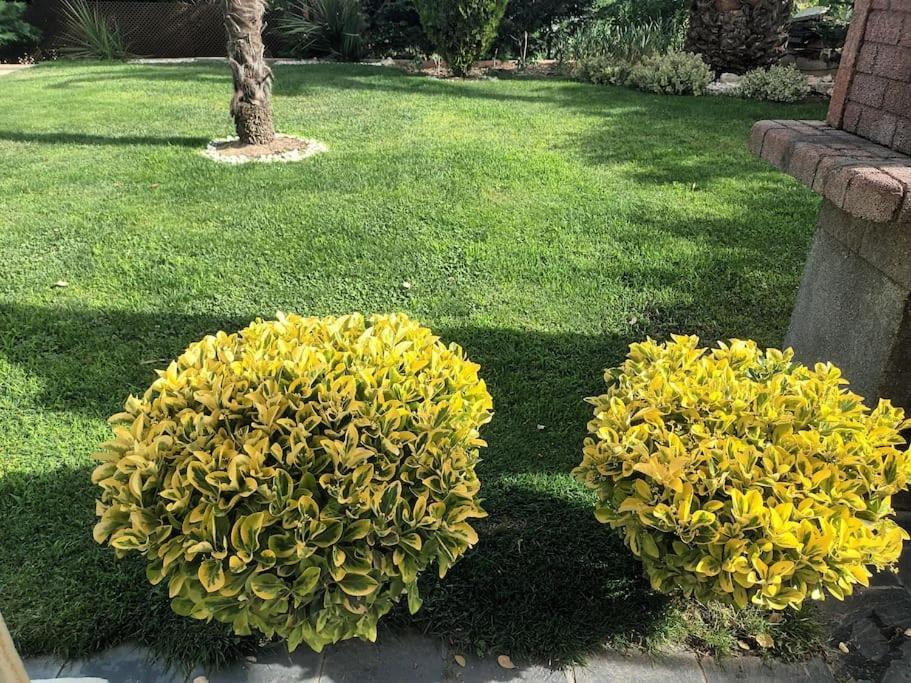 Madrid City Modern Apartment In Villa, Free Wifi 阿罗约莫利诺斯 外观 照片